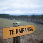 Foley Wines – Te Kairanga