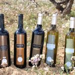 Bodega de Moya – Wines