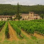 Chianti_Classico_Italy_Wine