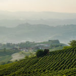 Barolo-vineyards-AsiaImportNews