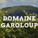 AsiaImportNews-DomaineGaroloup