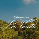 AsiaImportNews-DomaineLeoVareille