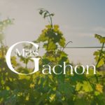 AsiaImportNews-MasGachon